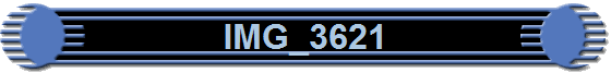 IMG_3621