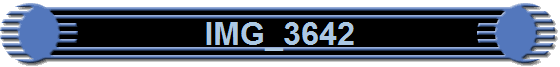 IMG_3642