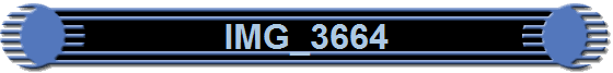 IMG_3664