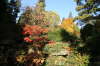 Batsford Arboretum 25/10/09