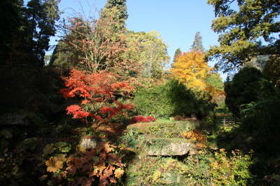 Batsford Arboretum 25/10/09