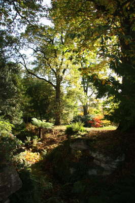 Batsford Arboretum 25/10/09