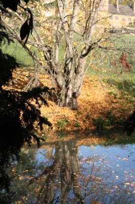 Batsford Arboretum 25/10/09
